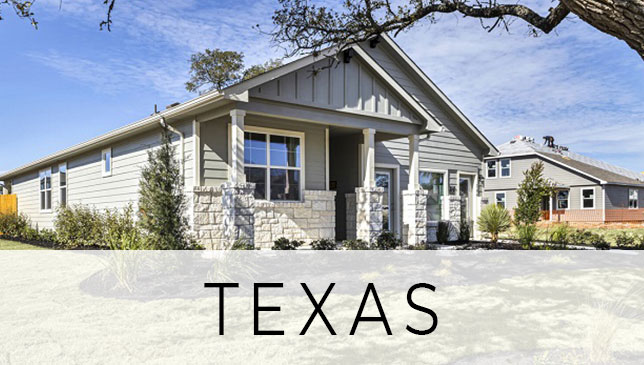 Click to visit DHI Texas Title page
